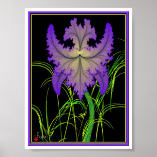 Poster Iris