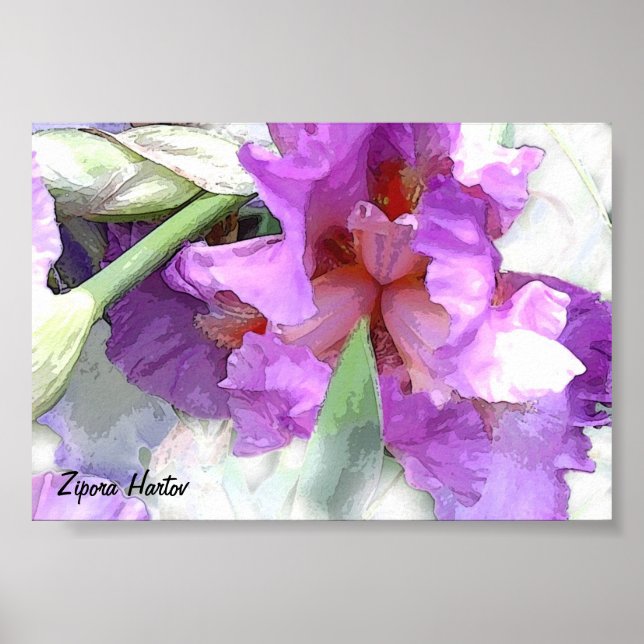 Póster Iris (Frente)