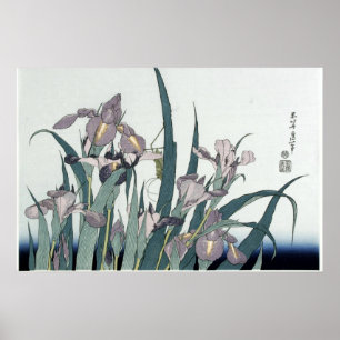 Poster Íris Antigas e uma Gafanhoto por Katsushika Hokusi