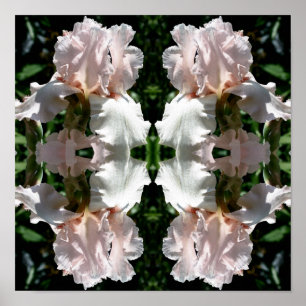 Poster Íris blindada Flor para cima Abstrato