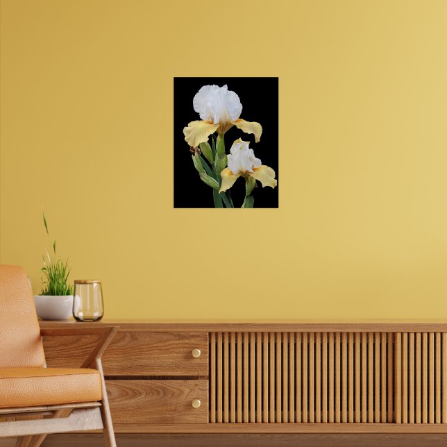 Poster Íris Brancas e Amarelas em Floral Preto (Sala de Estar 2)