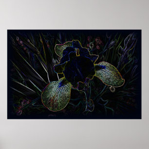 Poster Íris brilhante