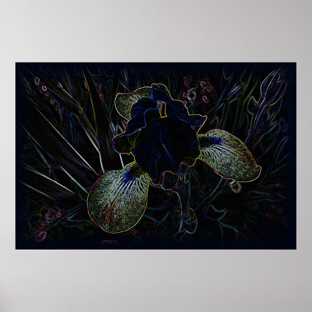 Poster Íris brilhante (Frente)