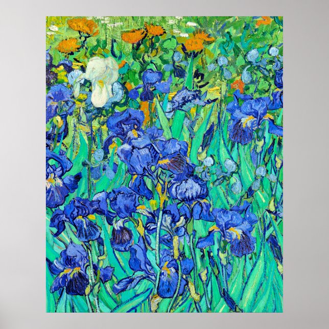 Poster Íris de Van Gogh  (Frente)
