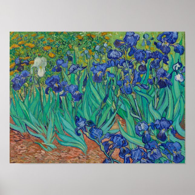 Poster Íris de Van Gogh (Frente)