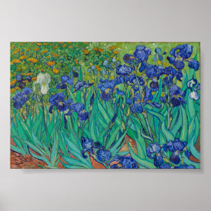 Poster Íris de Van Gogh