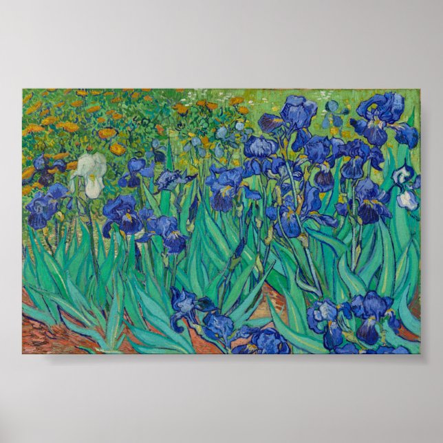 Poster Íris de Van Gogh (Frente)