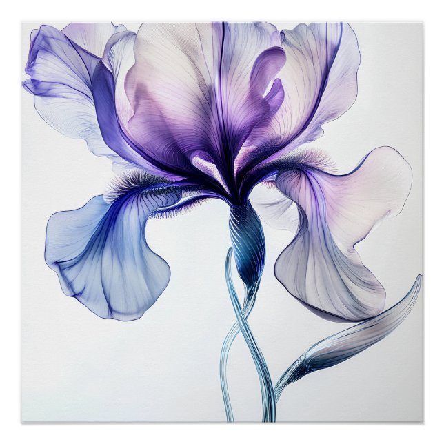 Póster Iris Délicat en Fleurs (Frente)
