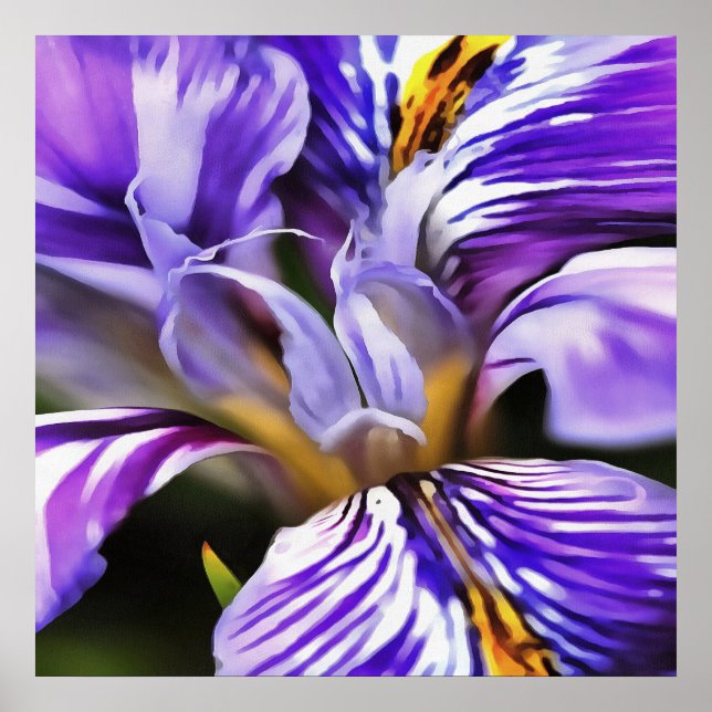Póster Íris em Lilac Violeta e Arte Botânica Púrpura (Frente)