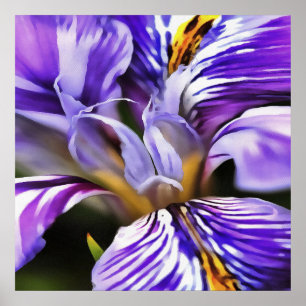 Póster Íris em Lilac Violeta e Arte Botânica Roxa