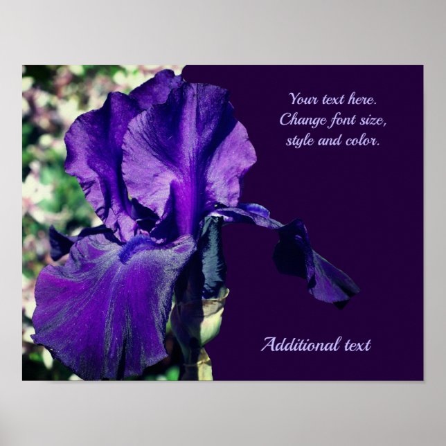 Poster Iris Flower Adicionar seu texto personalizado (Frente)