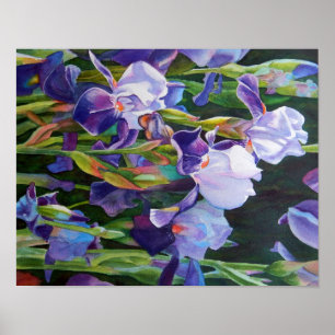 Póster Iris Garden, da Lisa