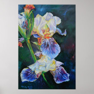 Poster Iris I