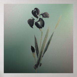 Poster Íris Japonês Iris Moderno e Elegante Simples