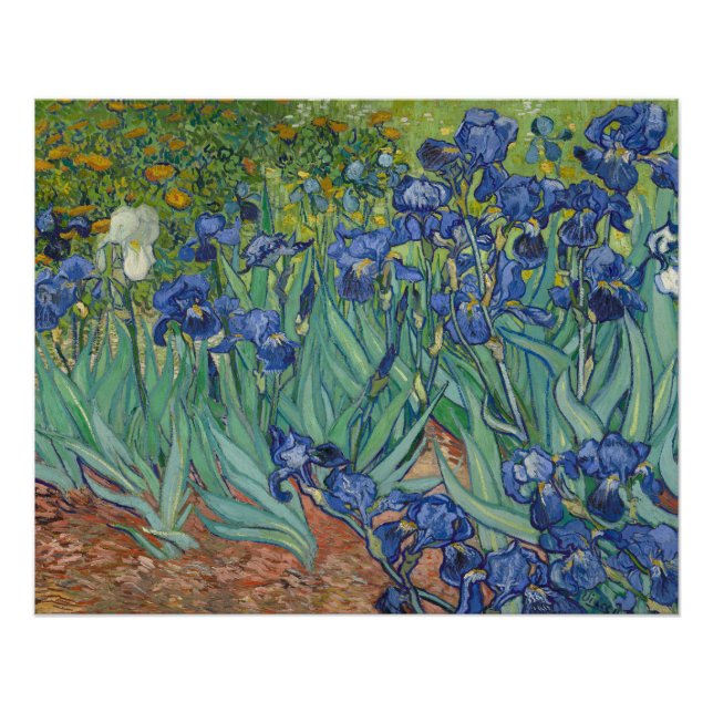 Póster Íris, Pintura a Óleo Floral, Vincent Van Gogh (Frente)