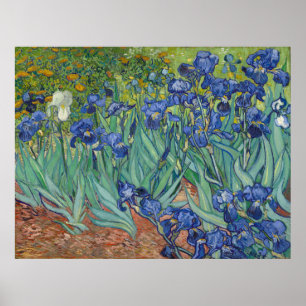 Póster Íris por Vincent van Gogh