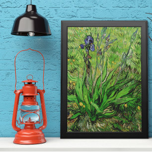 Póster Íris por Vincent van Gogh, belas artes do jardim