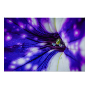 Póster Íris Roxa Macro – Arte Floral Vibrante em Close-Up
