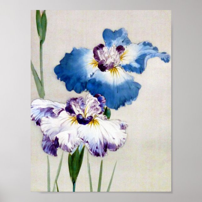 Poster Iris, Watanabe Seitei (Frente)