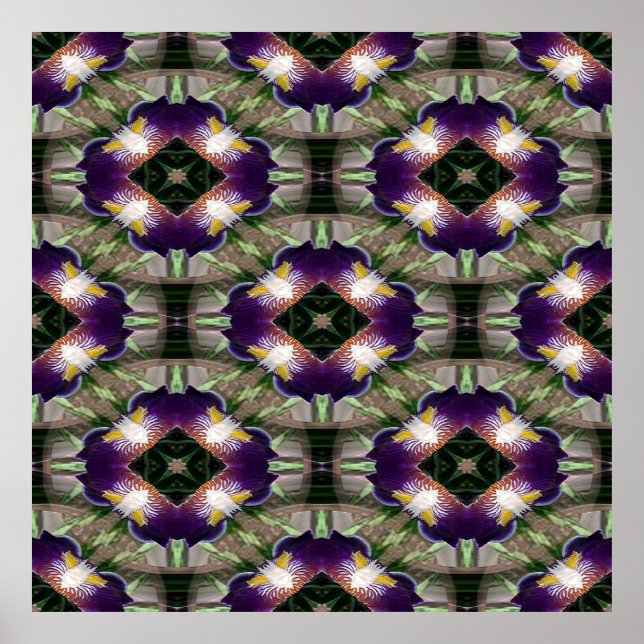 Poster Iris Wredies.... (Frente)