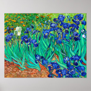 Poster Írises (1889) Vincent Van Gogh, jardim floral azul