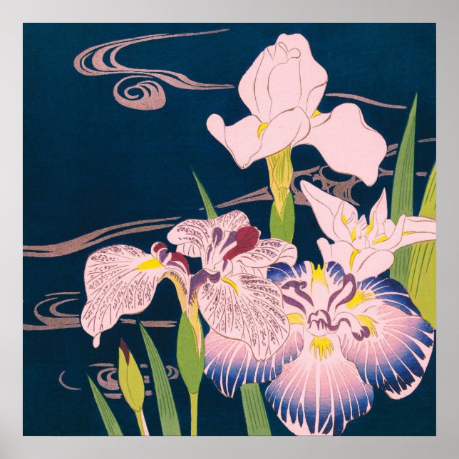 POSTER IRISES DE KUGYO TSUKIOKA (Frente)