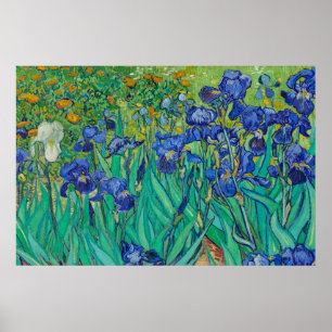 Poster Írises de Vincent van Gogh