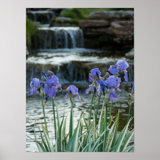 Póster Irises Em Chateau (Frente)