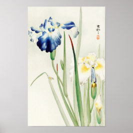 Poster Írises por Ohara Koson