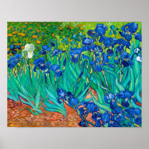 Poster Irises, Vincent van Gogh