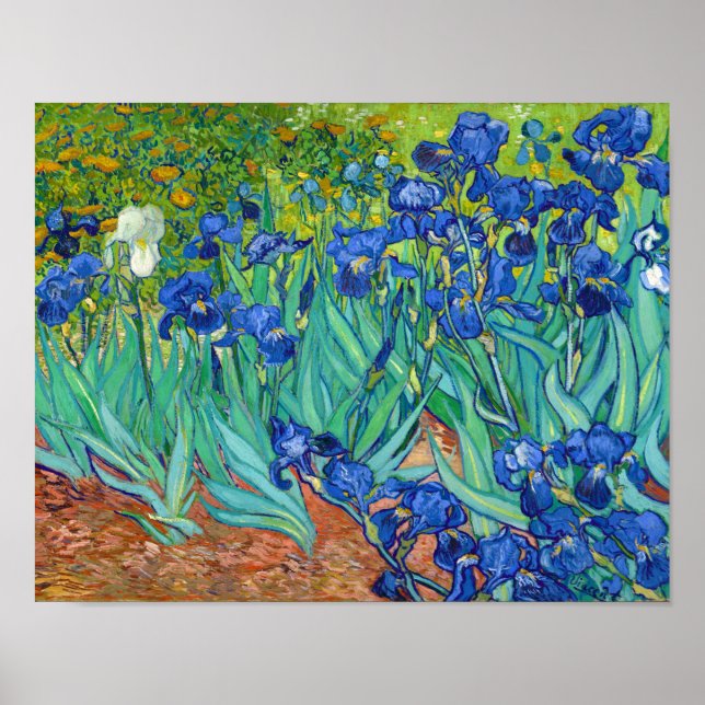 Poster Irises, Vincent van Gogh (Frente)