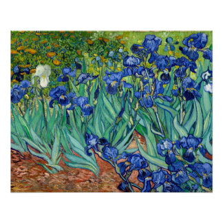 Póster Irises Vincent van Gogh Floral Vintage Painting