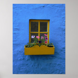 Póster Irish Cottage Windowbox