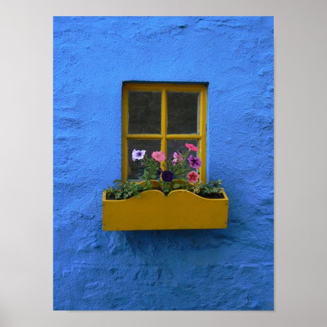 Póster Irish Cottage Windowbox (Frente)