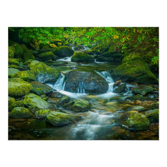 Póster Irish Forest Stream – Emerald Woodland Photo Print (Frente)