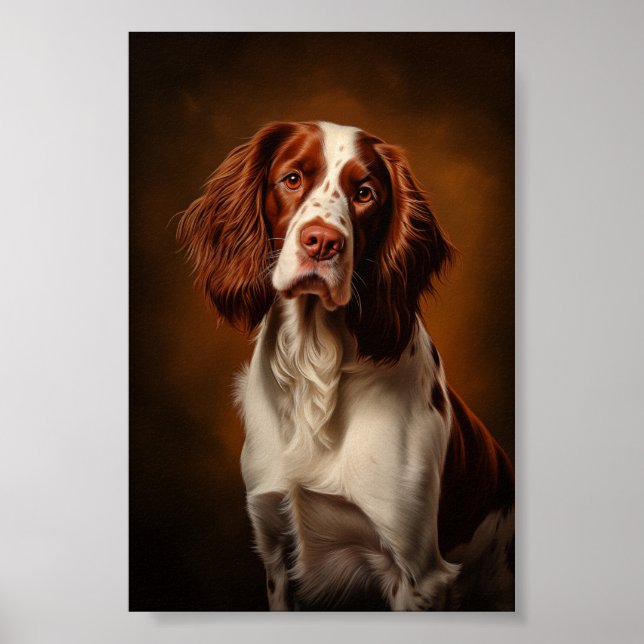 Poster Irish Red and White Setter (Frente)