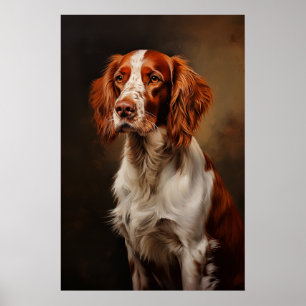 Poster Irish Red and White Setter