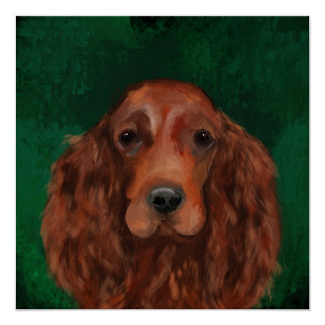 Póster Irish Red Setter (Frente)