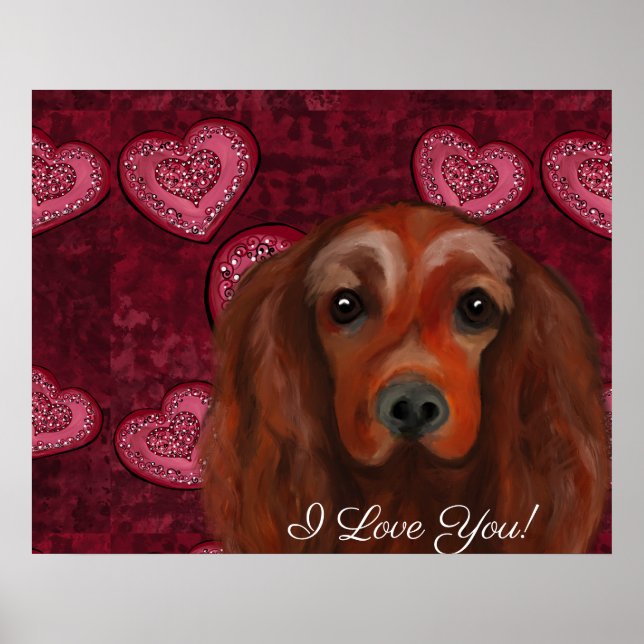 Poster Irish Red Setter (Frente)