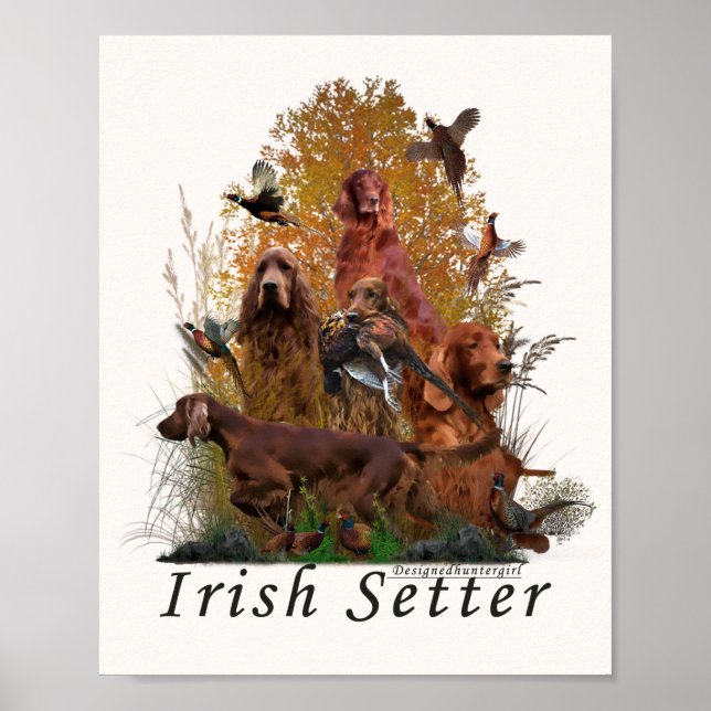 Poster Irish Setter (Frente)