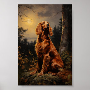 Poster Irish Setter à noite
