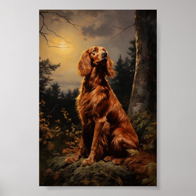 Poster Irish Setter à noite (Frente)