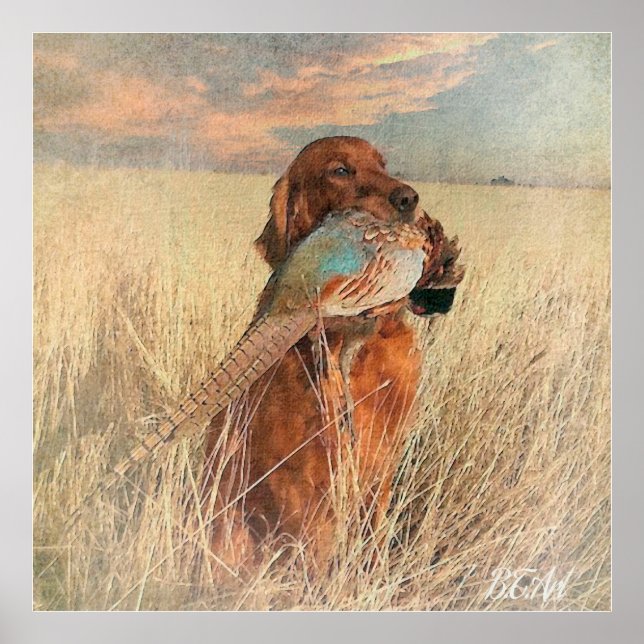 Poster Irish Setter com faisão (Frente)