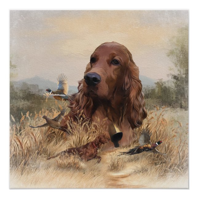 Póster Irish Setter Hunting Pheasant ,Art (Frente)