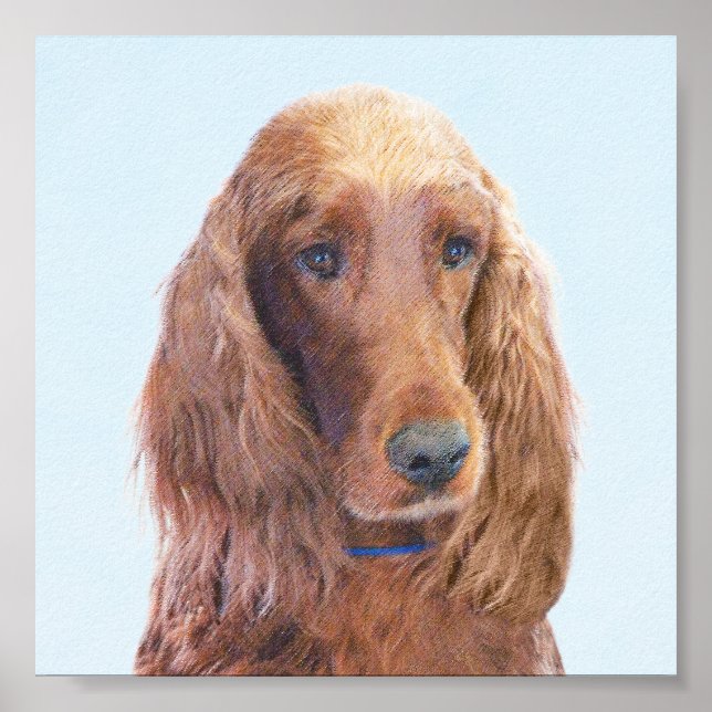 Poster Irish Setter Painting - Bela Arte Original De Cach (Frente)