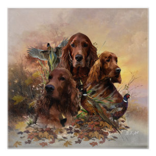 Póster Irish Setters com Faasants - Caça à Paixão