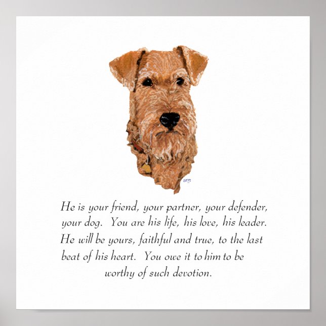 Póster Irish Terrier Lembrança - Macho (Frente)