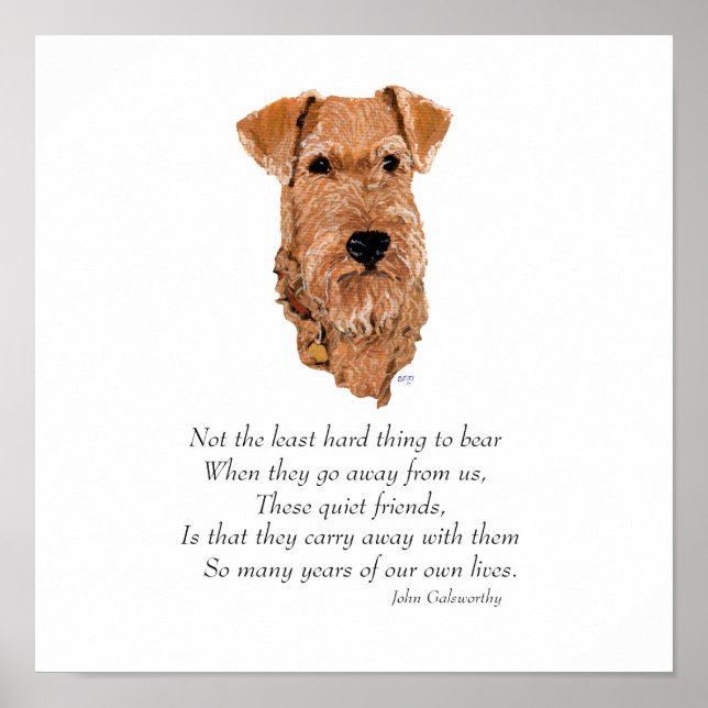 Poster Irish Terrier Ponte do Arco-íris (Frente)