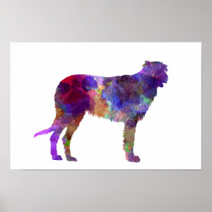Póster Irish Wolfhound em aquarela