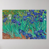 Írisos por pintura de arte Van Gogh